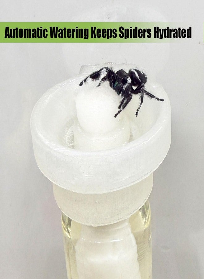 Daerky Jumping Spider Water Dispenser, Magnetic Hanging Feeder,Suitable for Jumping Spiders,Tarantulas, Praying Mantises,Arboreal Animals, and Other Small Animal Enclosure Accessories (Transparent, 5ML) - Image 2